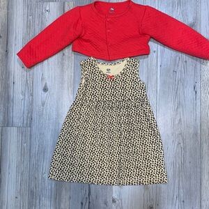 3T Hudson Baby dress & cardigan set